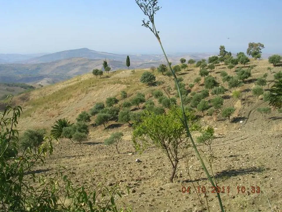 Landejendom i Cianciana, Agrigento - foto 4